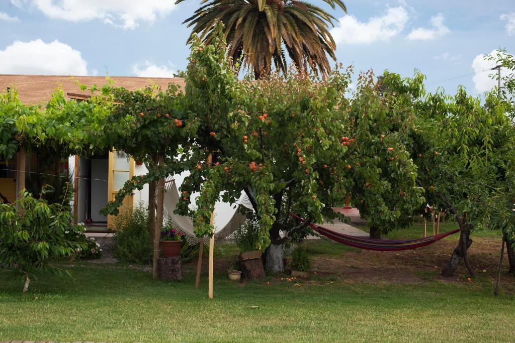 Casa Pando Panzió Santa Cruz Kültér fotó